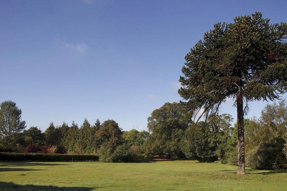 Woodland Grange Hotel Lillington  Exterior foto